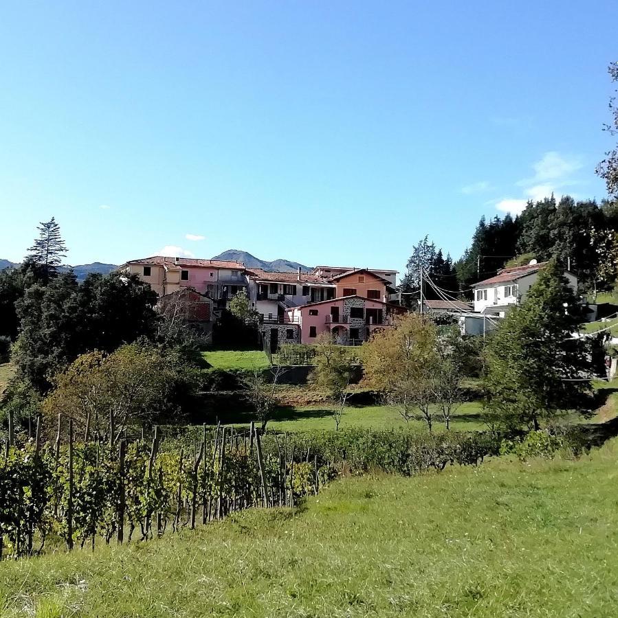 Lissahouse Agriturismo San Pietro Vara Kültér fotó